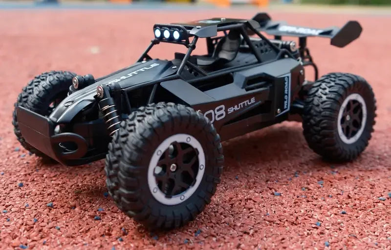 1:16 Scale 2WD All Terrain Fast RC Car 20KM/H High Speed Electric Off-Road Vehicle Outdoor Remote Control Truck for Kid Toy Gift