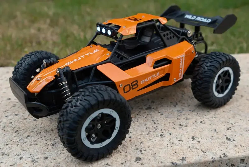 1:16 Scale 2WD All Terrain Fast RC Car 20KM/H High Speed Electric Off-Road Vehicle Outdoor Remote Control Truck for Kid Toy Gift