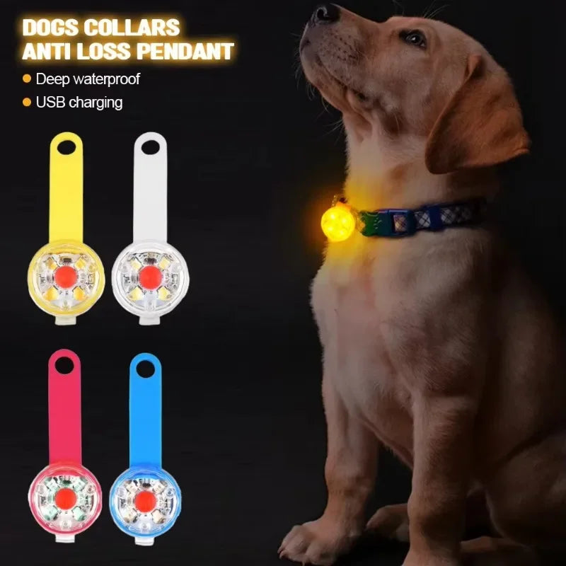 Dog collar, loss collar, weatherproof LED safety light, USB rechargeable LED light collar, dog, cat, pet