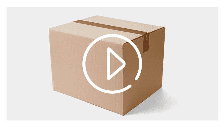 Realistic dachshund illustration  women's casual hoodies